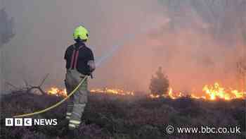 NHS must plan for heat and wildfires, says expert