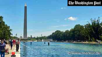 Festnahme am Reflecting Pool: Frau wegen Müllfischens in Handschellen gelegt