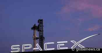 SpaceX stock sinks after first ever earnings revealed big AI spending plans
