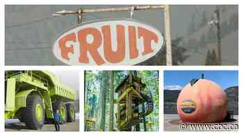 Search for B.C.'s best roadside attraction: Round 1, Interior