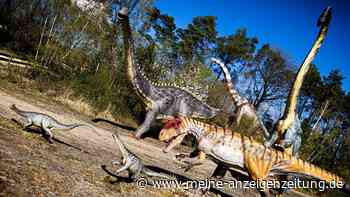 Warum Dinosaurier nie so klein waren wie eine Maus