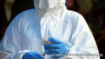 Moderna nutzt Corona-Technologie gegen Ebola – erster mRNA-Impfstoff wird an Menschen getestet