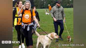 Organisers announce new addition to popular event
