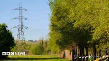 Pylon removal plans for beauty spot scrapped