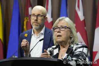 Two candidates running for Green Party leadership, winner to be announced Nov. 14