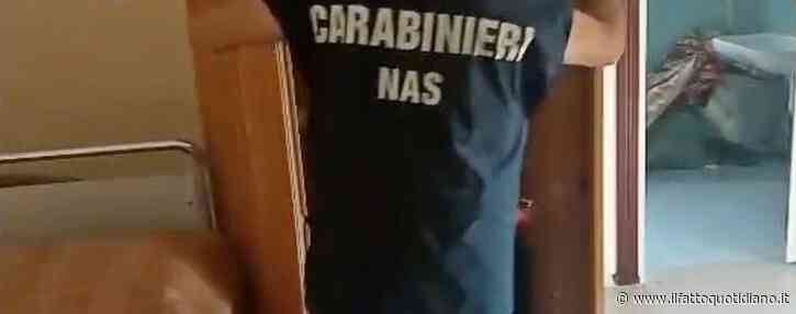 Gravi carenze igieniche e sequestro da 700mila euro: i Nas irrompono al ristorante durante il pranzo e fanno evacuare la sala