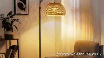 'Masterpiece for the money' rattan lamp is £16 off and 'everyone compliments it'