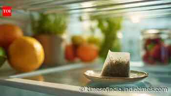 8 easy ways to reuse used tea bags and reduce household waste