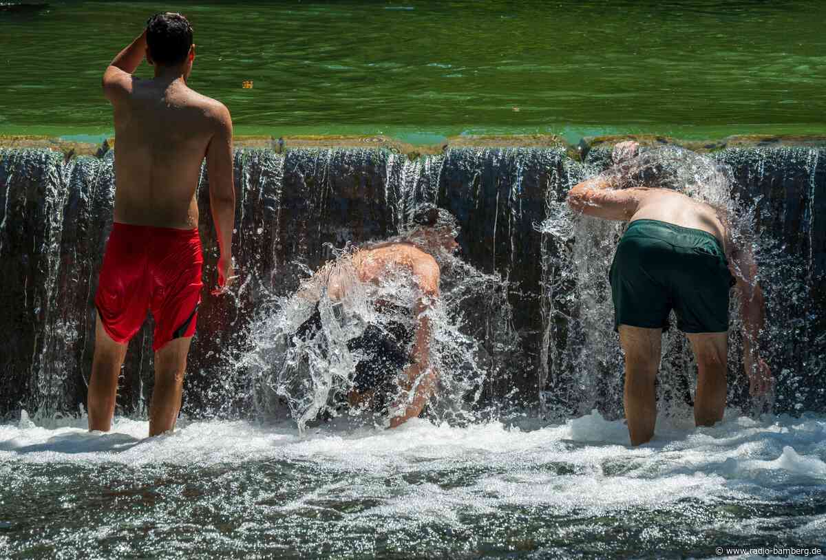 Fund von Nägeln im Seebach – Gemeinde warnt Badegäste