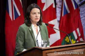 Ontario Liberal caucus member joins race to become leader
