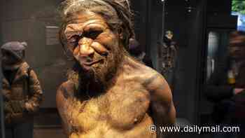 Are YOU muscular? You're probably part Neanderthal! Study reveals how genes from the ancient species increase muscle mass in people today