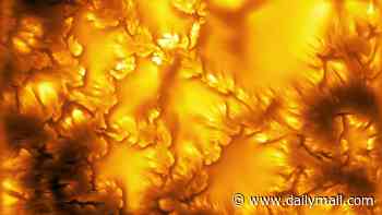 The sun as you've NEVER seen it: Scientists capture the highest resolution observations of our home star's surface