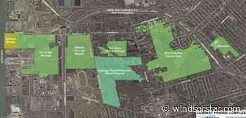 Ojibway park vision unclear to many locals: report