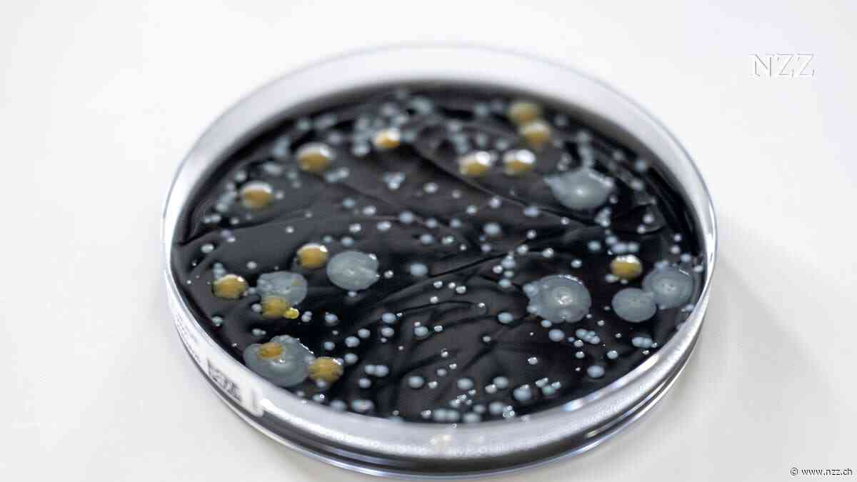 INTERVIEW - Mikrobiologe zum Legionellen-Ausbruch in Basel: «Das Jahr 2026 bildet erst den Anfang einer Zunahme an Krankheiten, die übers Wasser übertragen werden»