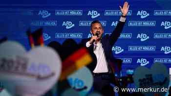 Milliarden-Lücke ohne Gegenfinanzierung: Ökonom watscht AfD-Wahlprogramm ab – „Luftschloss“