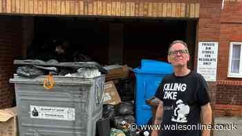 Stinking pile of waste attracting rats and swarms of flies growing outside Cardiff flats