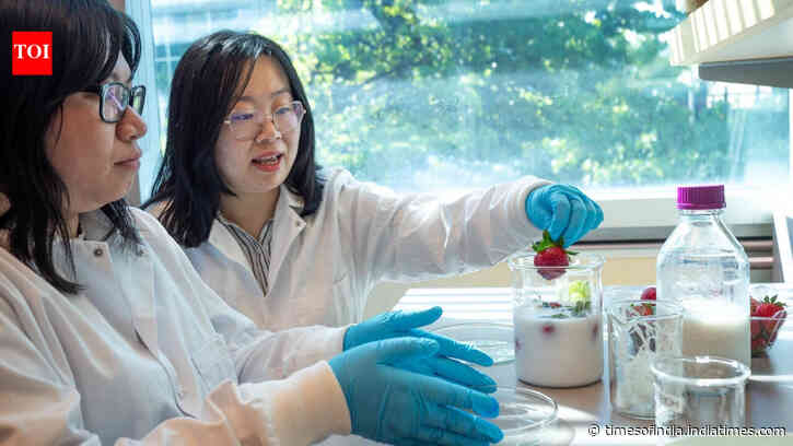 UBC scientists develop a mixture that keep strawberries fresh