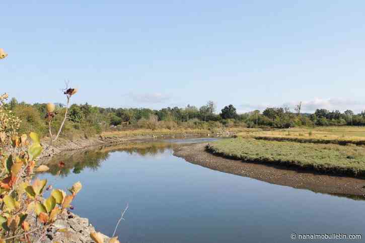 Province gives $500K grant to Cowichan Estuary Restoration Project