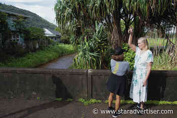 Work to clear Manoa Stream begins, drawing questions from residents