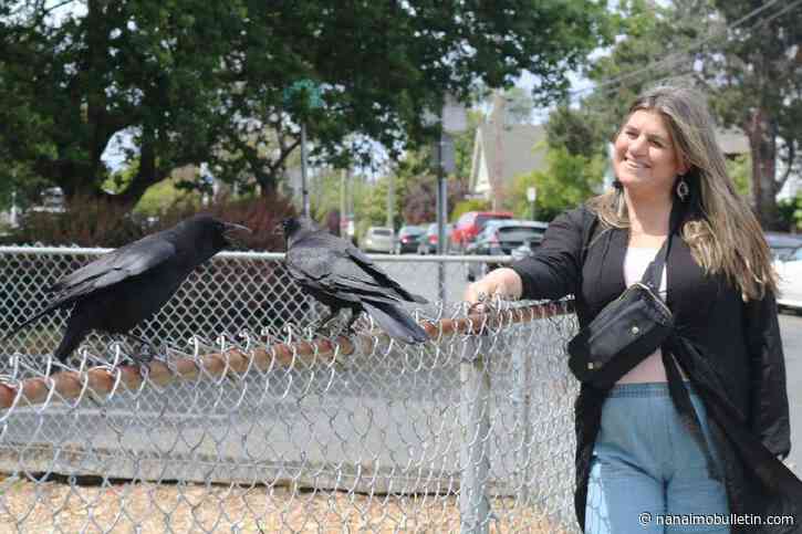 Murder of kindness: B.C. woman’s bond with crows aids healing journey