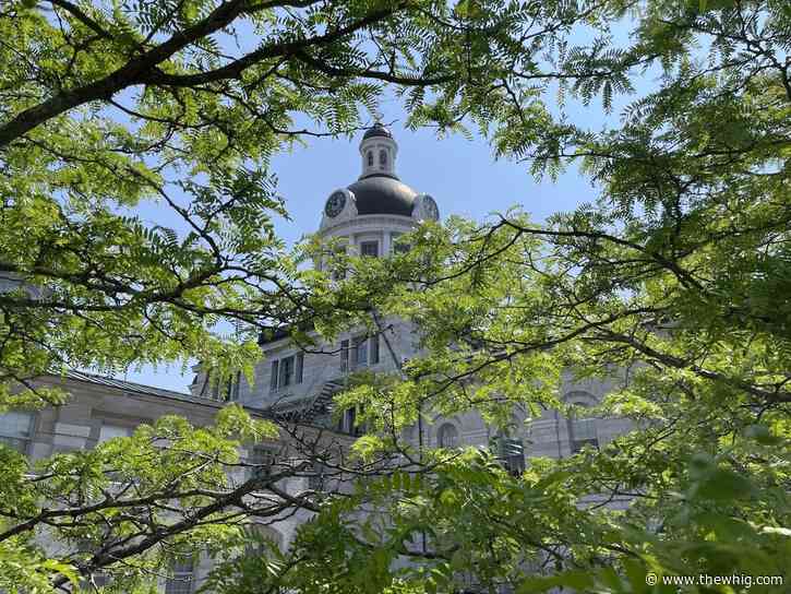Kingston to introduce AI to planning process