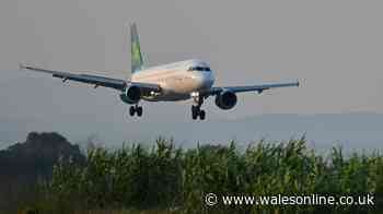 Passengers' terror as 'tired' pilot takes plane on 44-degree tilt during landing