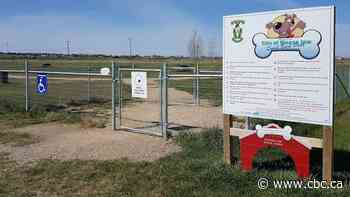 Moose Jaw dog parks reopen after deaths, illnesses prompted 6-week closure