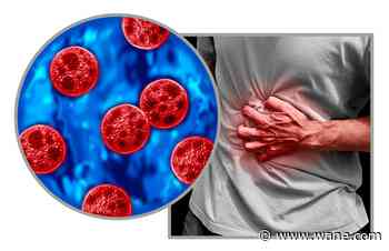 1,700+ cases of explosive diarrhea illness cyclosporiasis reported in Indiana