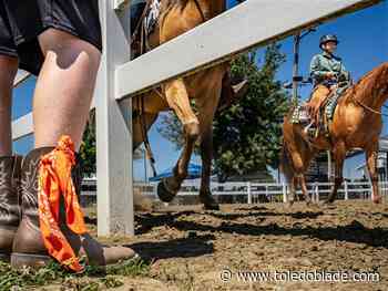 Photo Gallery: Animals are the stars at Wood County Fair