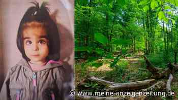 Bella (3) aus Preetz vermisst: Autistisches Mädchen braucht dringend medizinische Hilfe