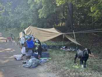 Arlington animal control seizes man’s goats, halting their cross-country journey