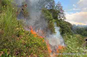 FW Rösrath: Waldbrand am Lüderich