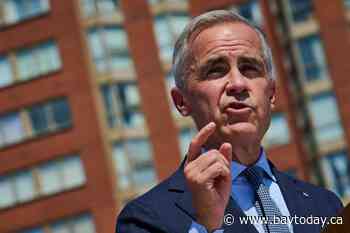 Carney suggests island airport jets not nixed in perpetuity: 'forever is a long time'