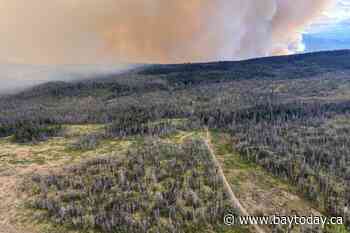 Pilot injured after helicopter crash during wildfire fight in B.C.