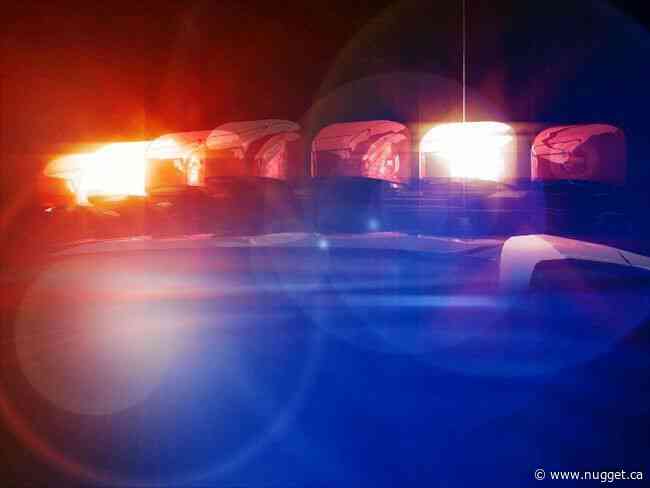 Pedestrian struck by train
