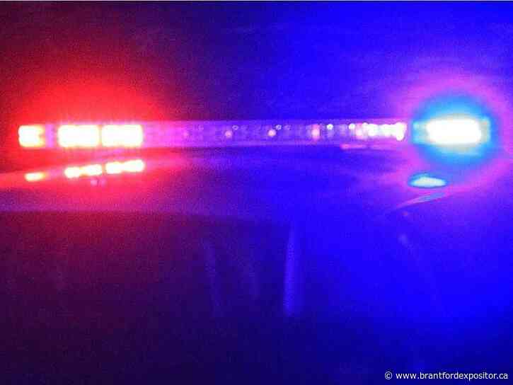 Police briefs: Transport driver injured in collision near Vanessa