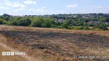 Nature reserve hit by 10 fires in a few weeks