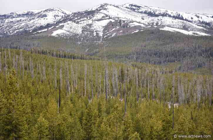 Wyoming Association of Archaeologists Sues Federal Government Over NAGPRA Regulations