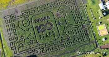 Edmonton Corn Maze opens as 2026 design celebrates AMA’s 100th anniversary