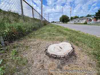 Selkirk Avenue resident misses sound of silence