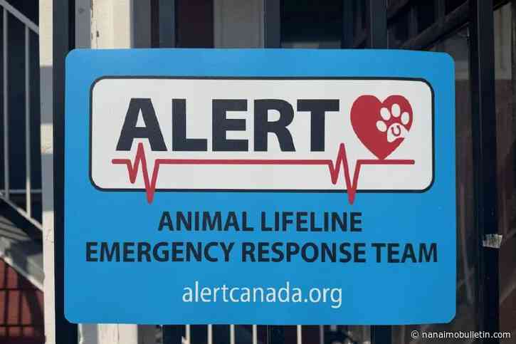 Dogs, birds and snakes, oh my! ALERT cares for Okanagan’s evacuated pets
