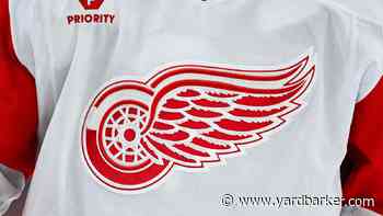 Red Wings Take Big Step Toward Hiring a GM, Name Interim Manager with Catch