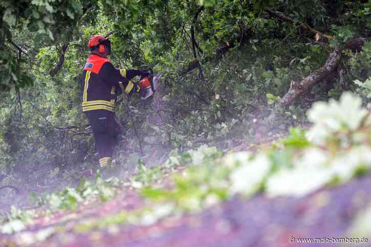Unwetter: Bäume stürzen auf Autobahnen in Bayern