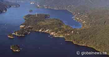 Wildfire breaks out in Belcarra Park near Port Moody, Anmore