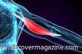 Some People Carry a Neanderthal Growth Hormone Receptor That Is Linked to Greater Muscle Mass
