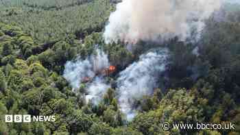 Ancient woodland fire 'caused by books set alight'