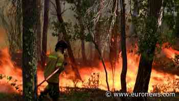 Wildfires force evacuations on Greek island of Kefalonia