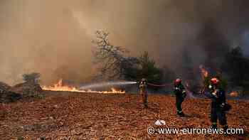 Helicopters and firefighters fight fast-moving wildfire near Athens