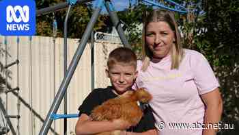 First homebuyers enter market in outback city where median house price is $312K