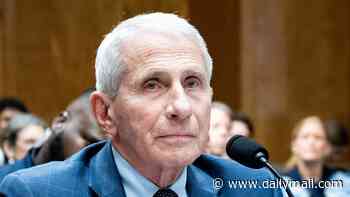 Fauci's Covid-era phone obtained by Senate panel ahead of contempt vote after divisive doctor pleaded the FIFTH more than 100 times during Capitol Hill grilling